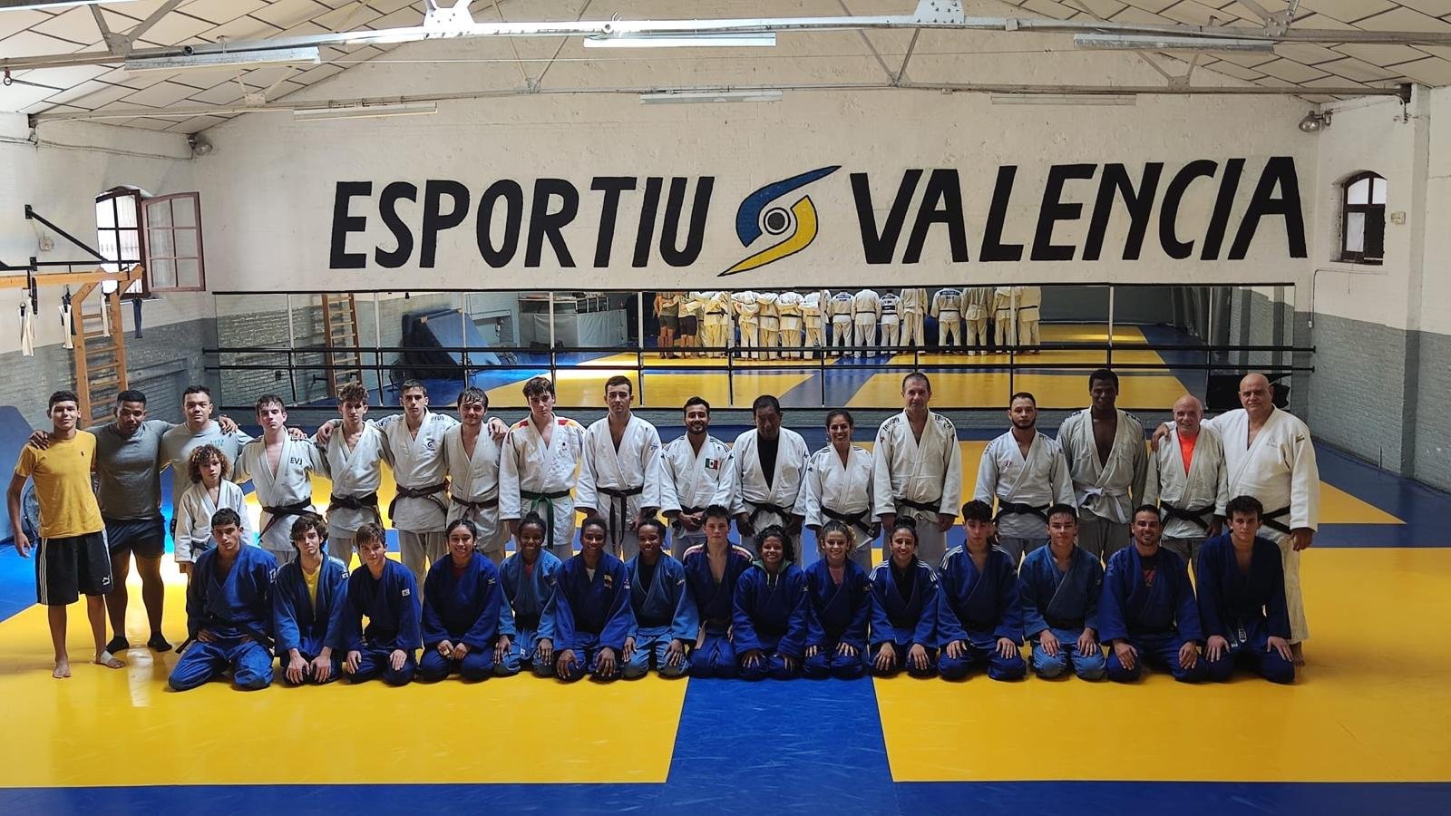 Artes Marciales 3