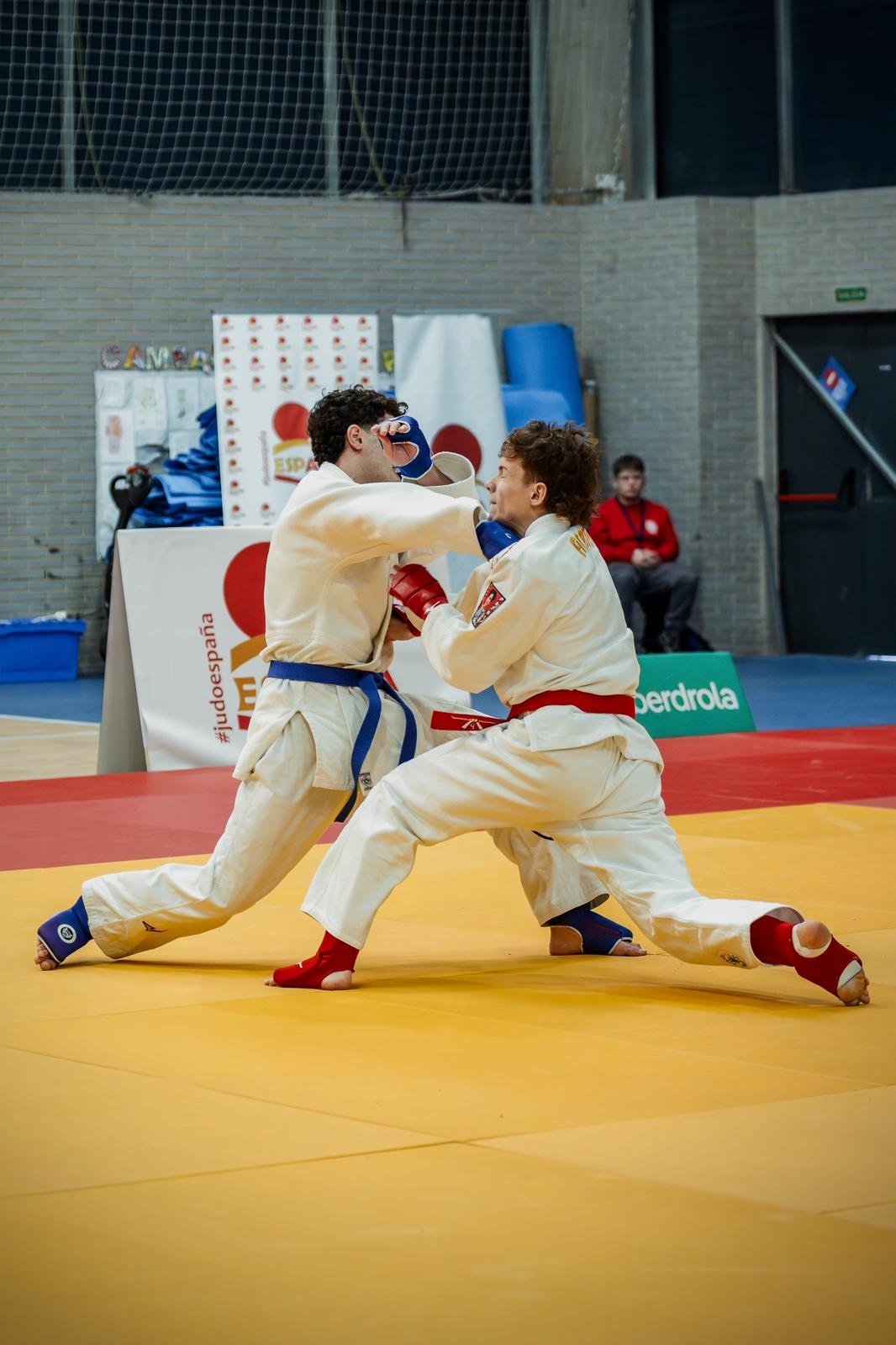 Artes Marciales 3