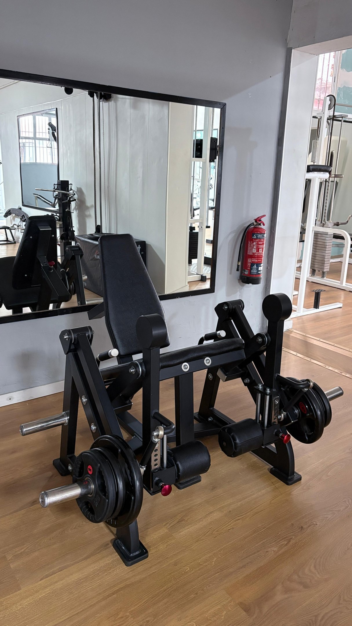 Musculación 3